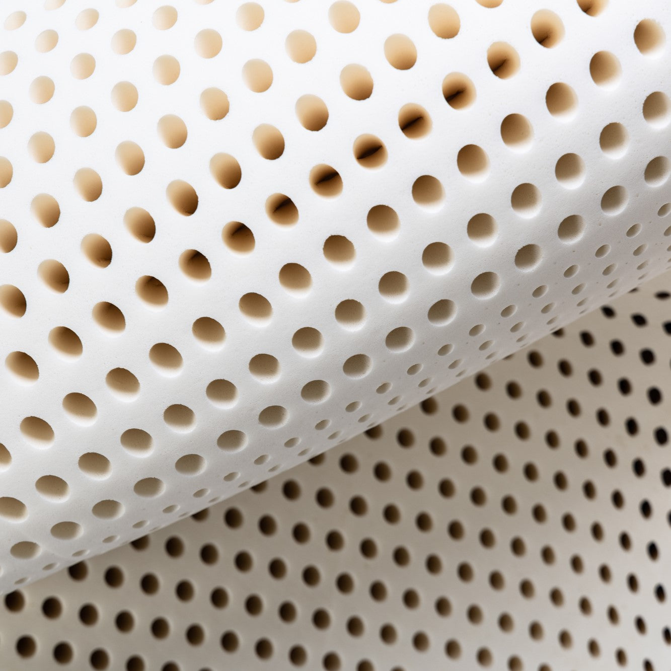 Natural Organic Bed Burbank